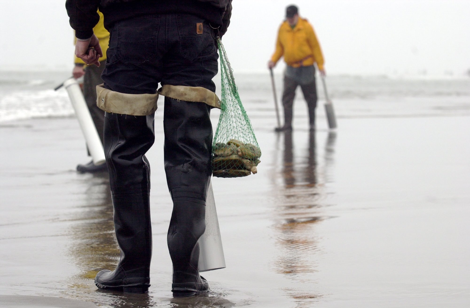 10 Reasons You Don't Want to Miss the Long Beach Razor Clam Festival (April 20)