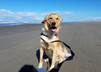 beach dog of the month 2019