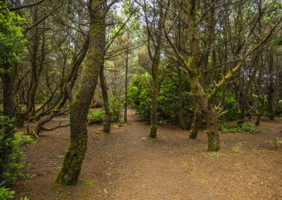 Grayland State Park