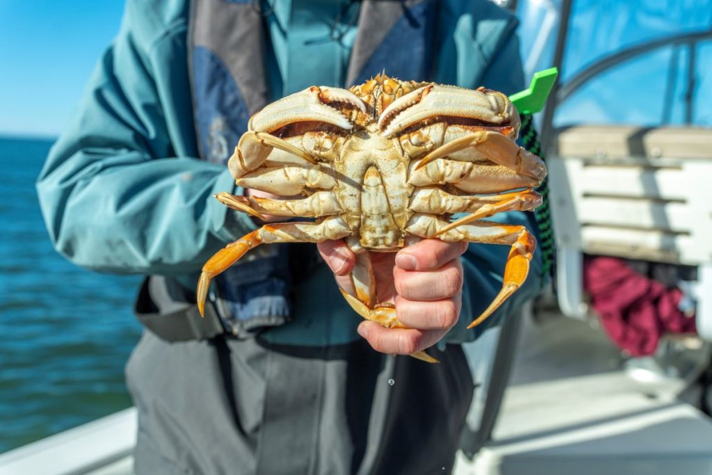Adventure in Pacific County crabbing
