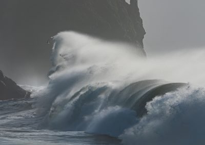 Cape Disappointment Wave by Kristy Sharkey