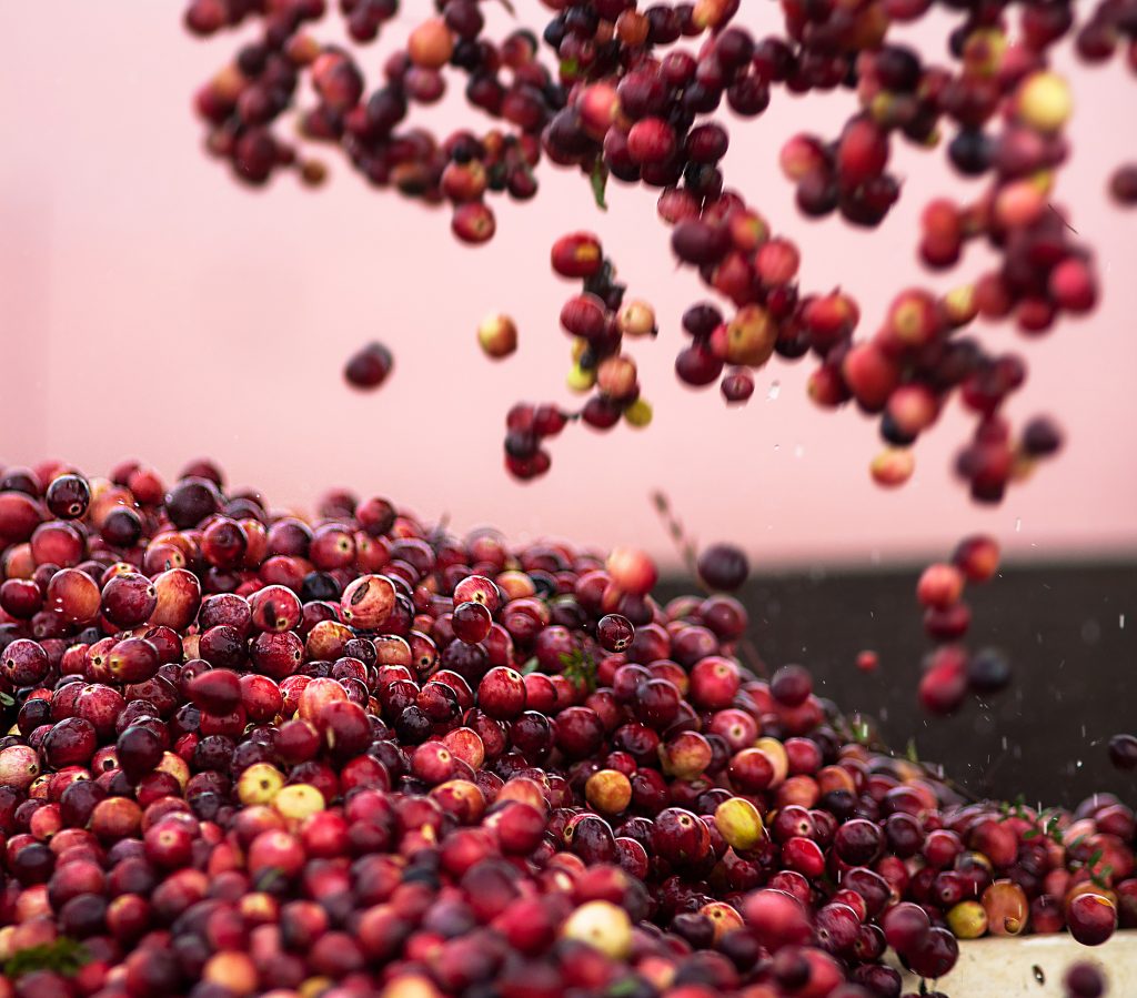 Celebrate the SEAson - 6 Side of Cranberries