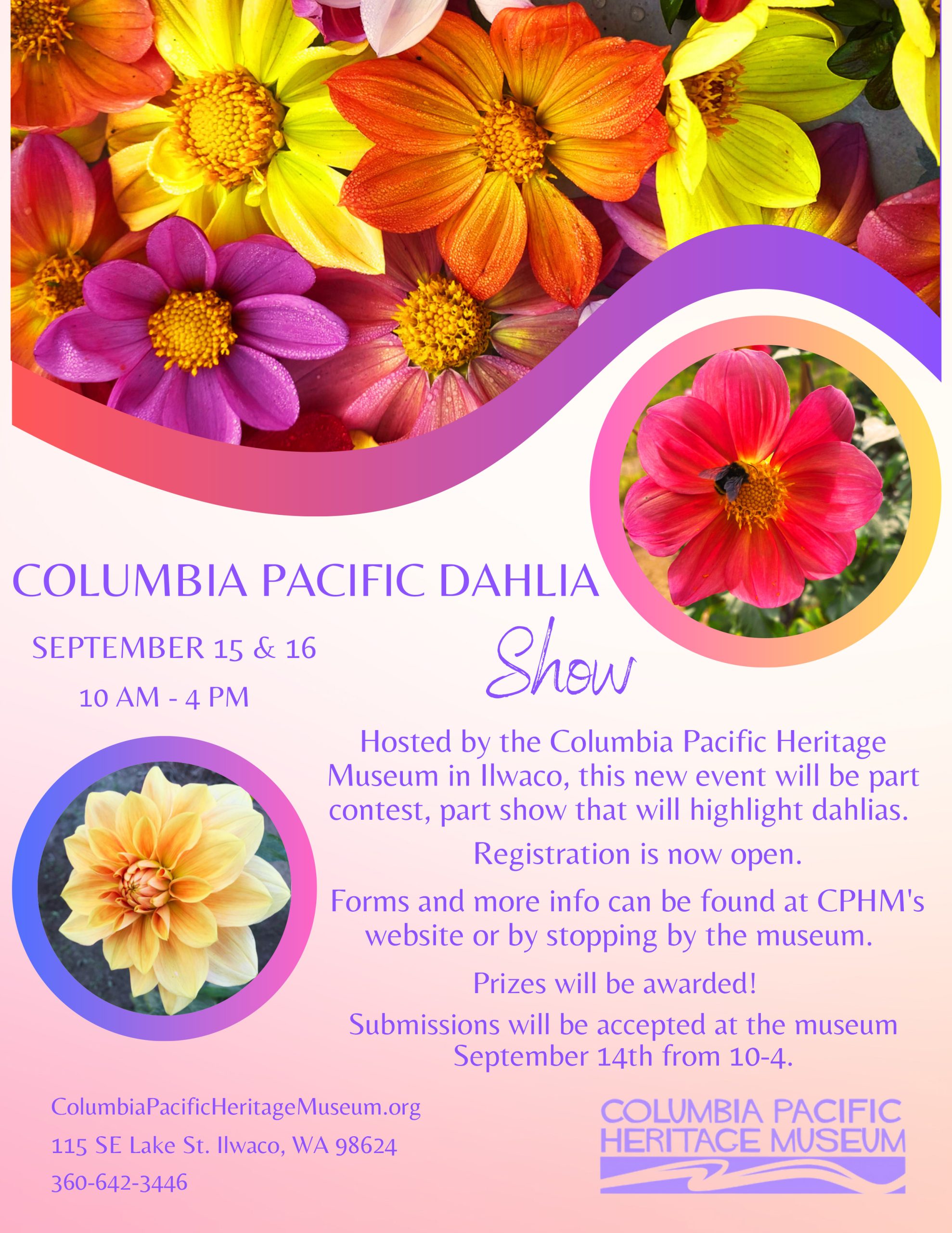 Columbia Pacific Dahlia Show