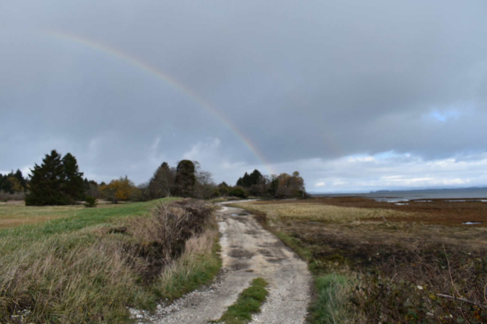 Storm Season Itinerary: Views and Delicious Food for Storm Watchers