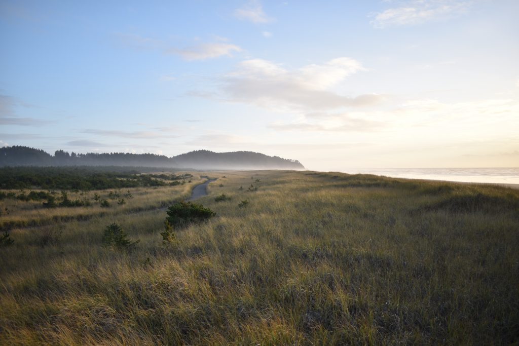 November on the long beach peninsula