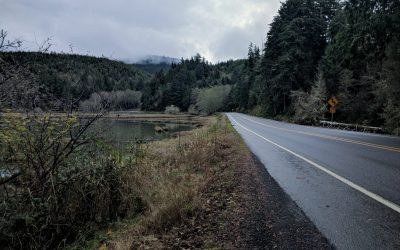 Highway 101 by Willapa Bay