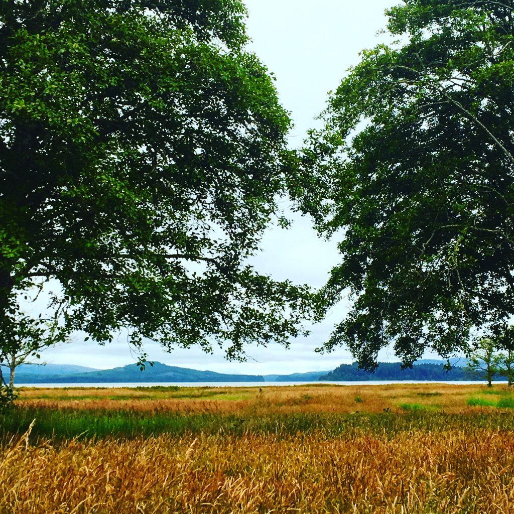 Oysterville Walking Tour