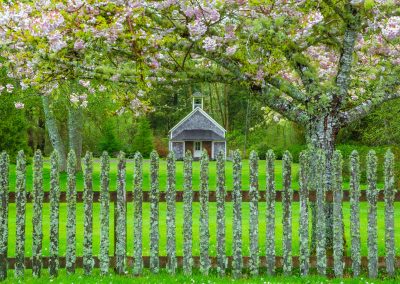 Historic Oysterville School