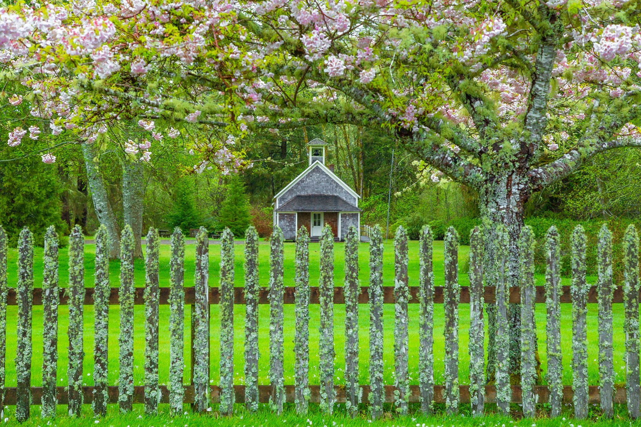 Historic Oysterville School