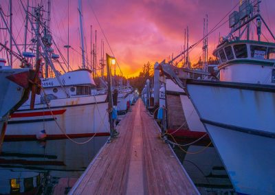 Port of Ilwaco