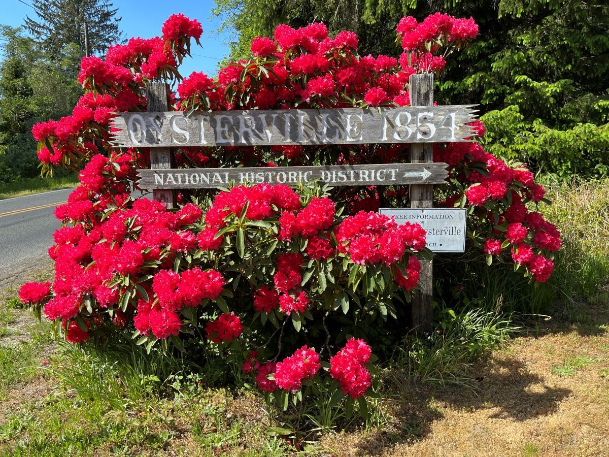 Oysterville sign