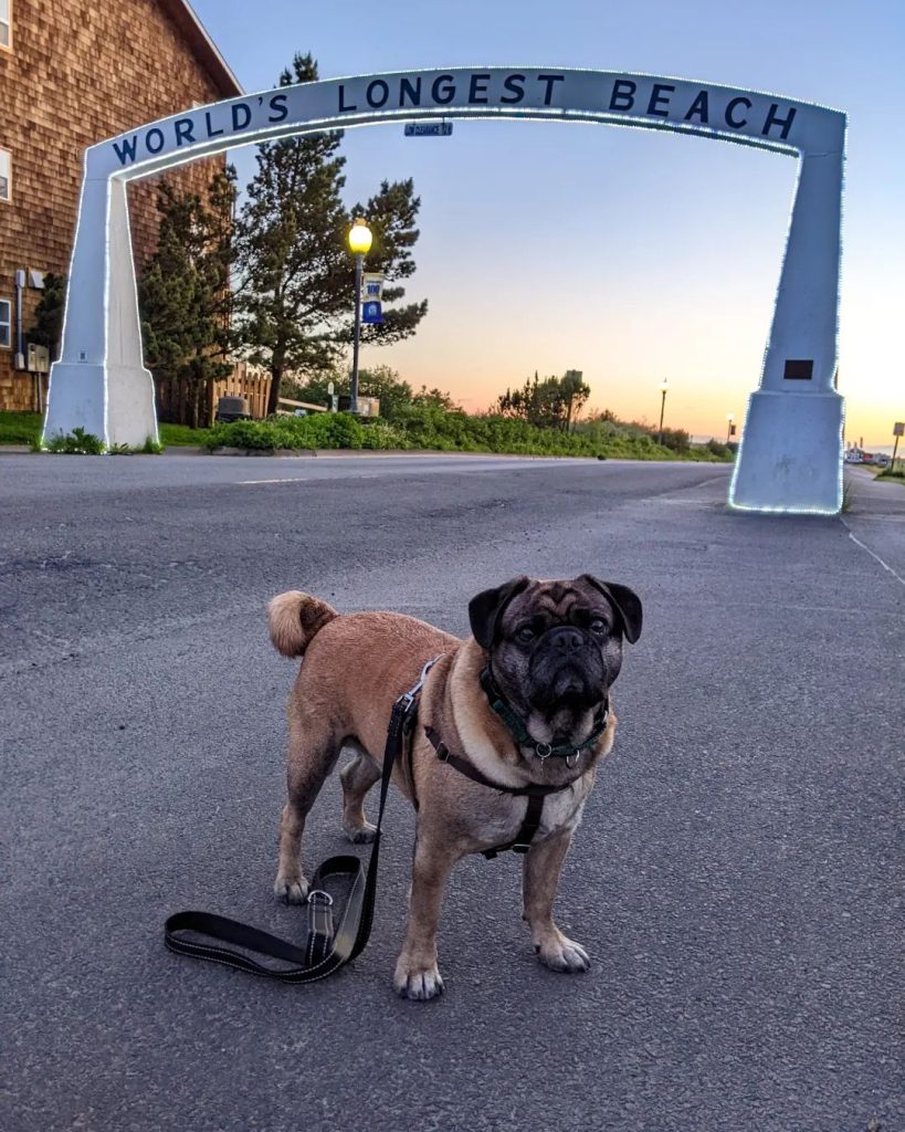 Pacific County Roadside Attraction Arch