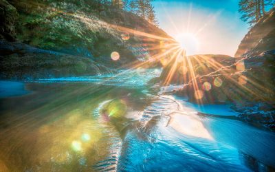 Photographer’s Dream: The Photogenic Beauty of the Pacific Coast