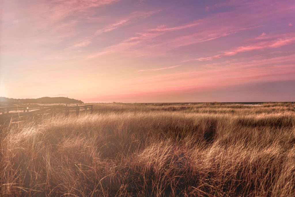 Photographer's Dream Sunset - Corey Dembeck