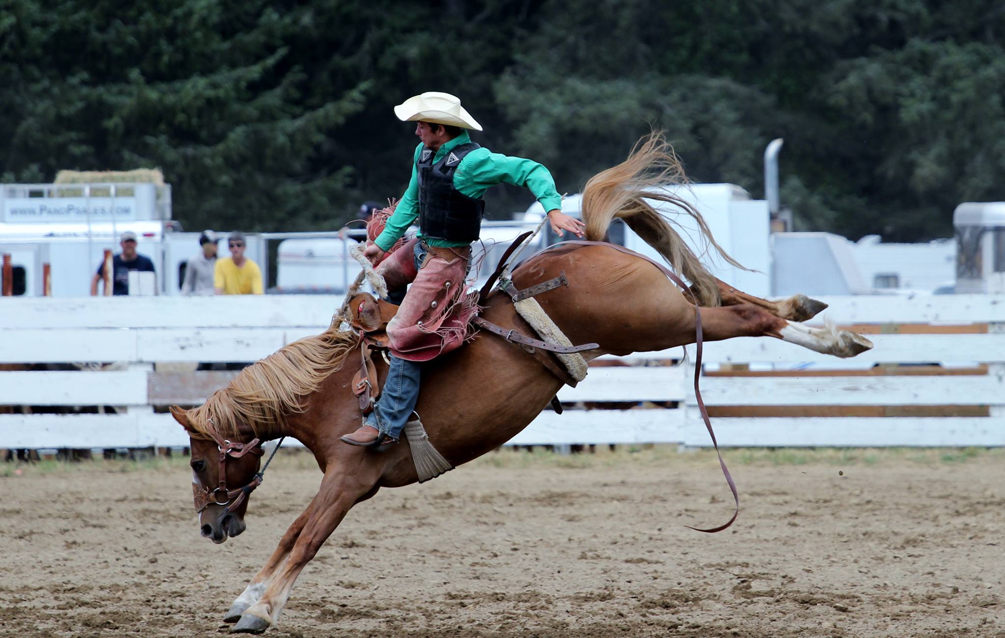 Long Beach Rodeo photo by Sharon Feakes