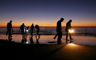 Clam It Up at The Long Beach Razor Clam Festival