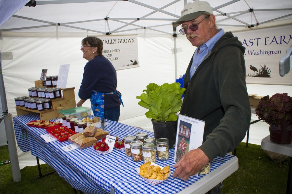 Summertime Ilwaco market