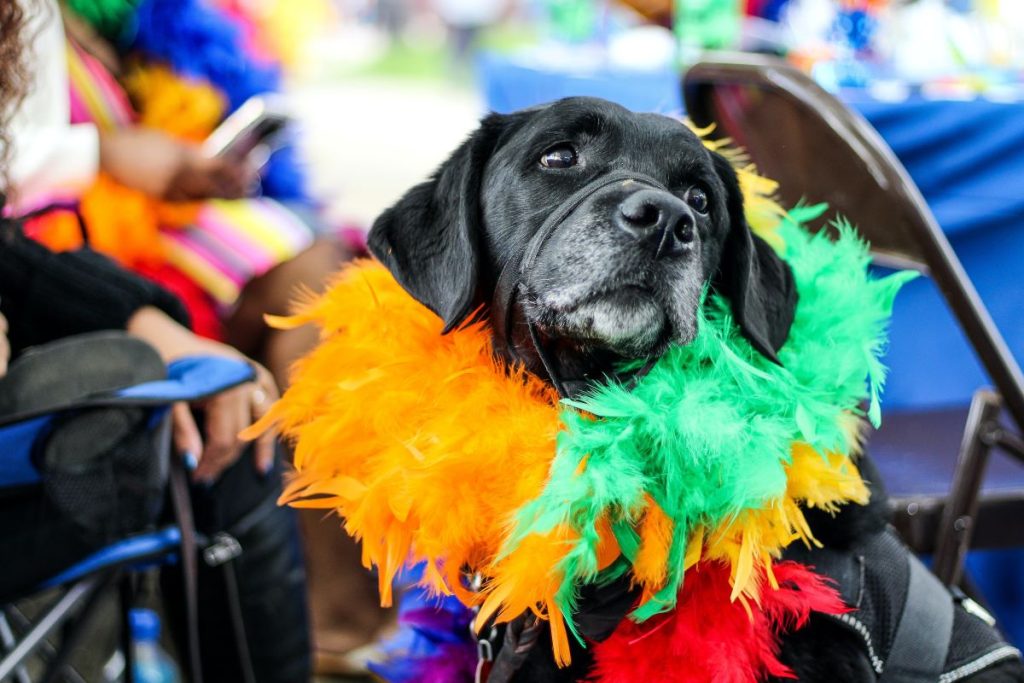 Summertime Pride in Pacific County