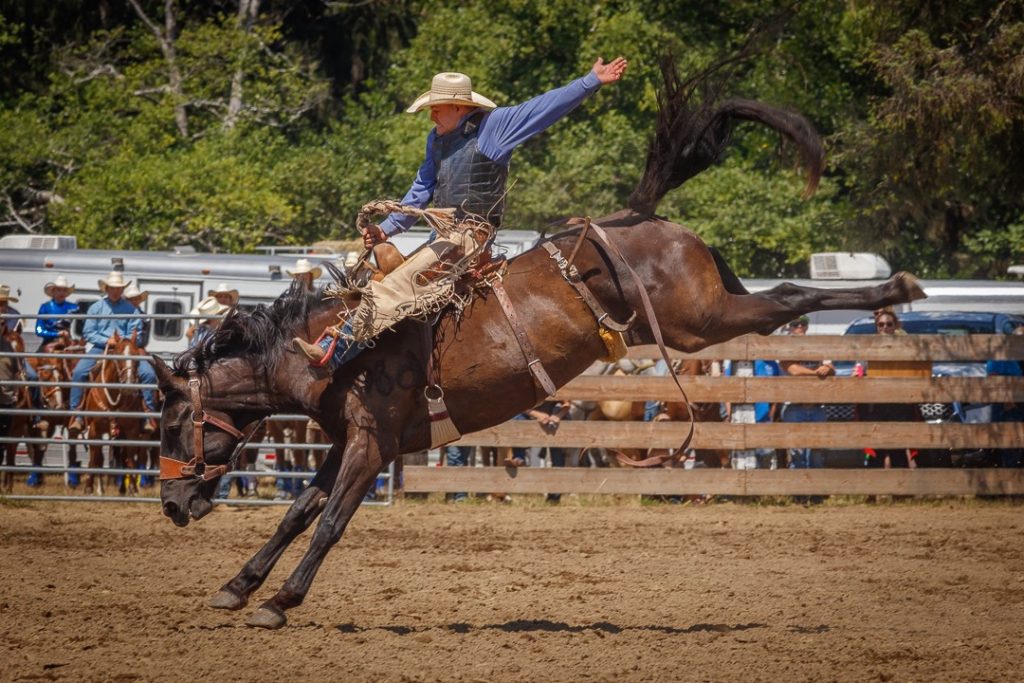 Summertime Rodeo -credit Mike Penney