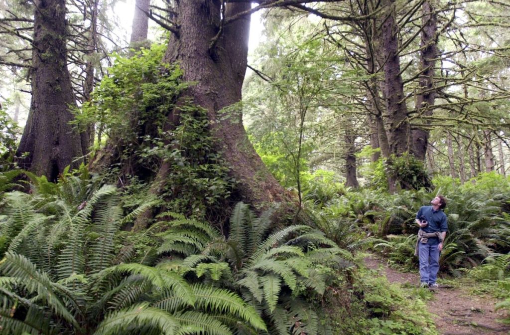 Unwind in Pacific County - hike