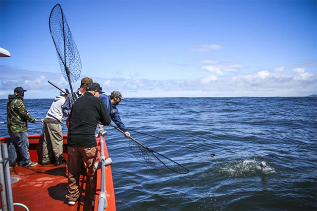 Pacific Northwest fishing crabbing clamming